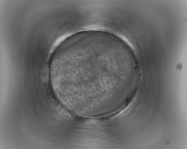 X0000090731358200708101630