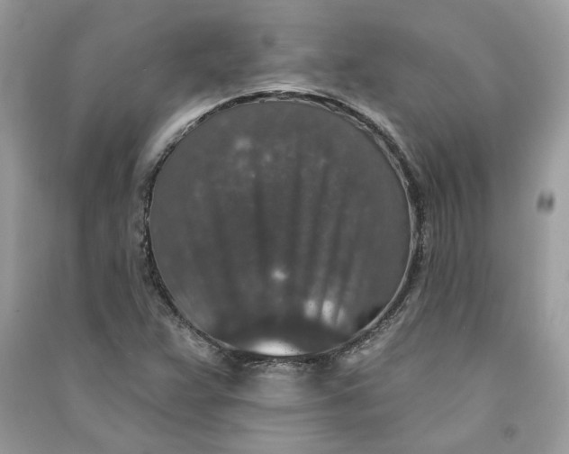 X0000090731359200708101630