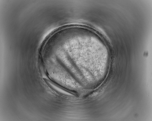 X0000090731360200708101630