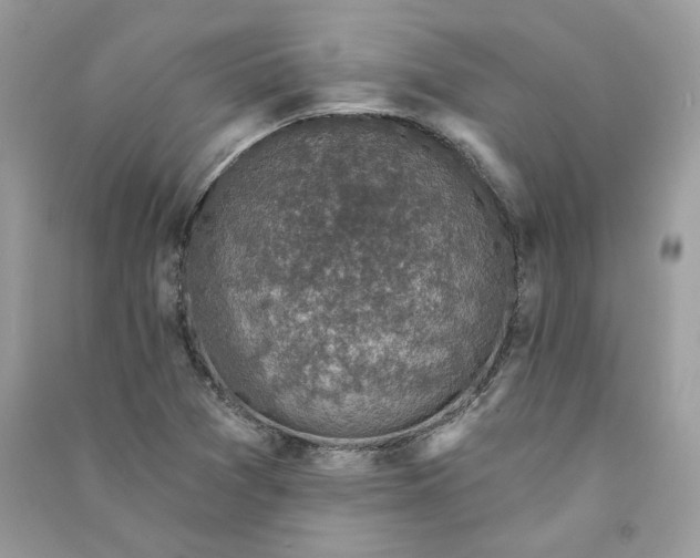 X0000090731361200708101630