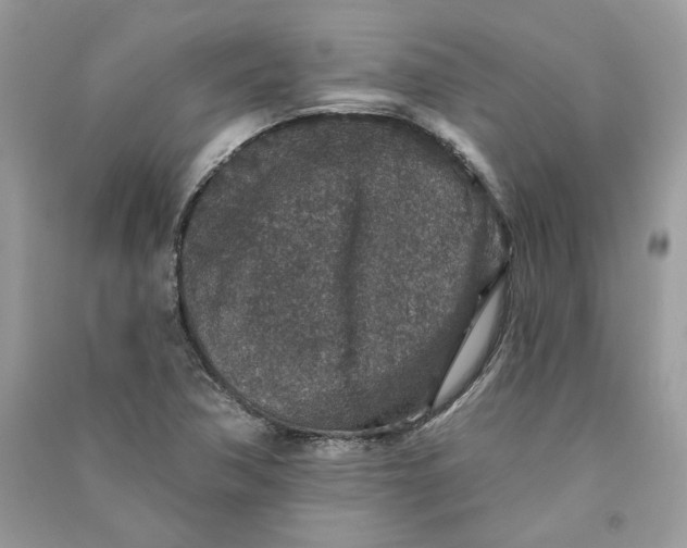 X0000090731362200708101630