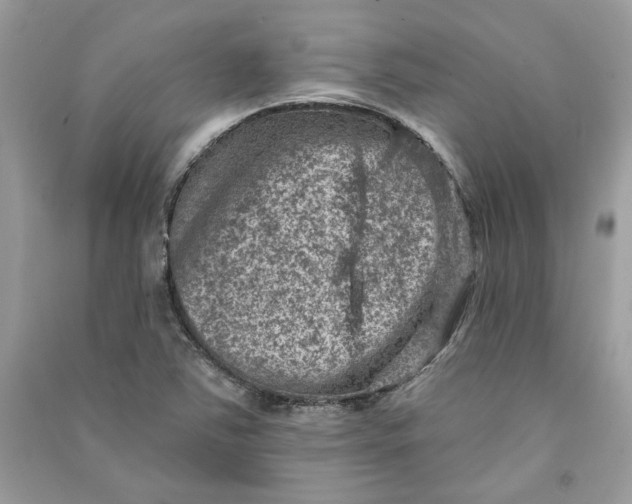 X0000090731363200708101630