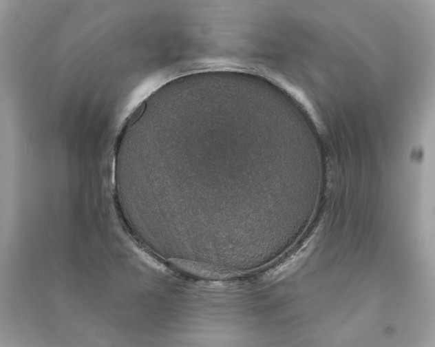 X0000090731365200708101630