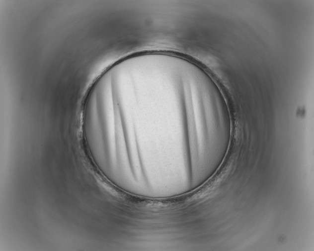 X0000090731366200708101630