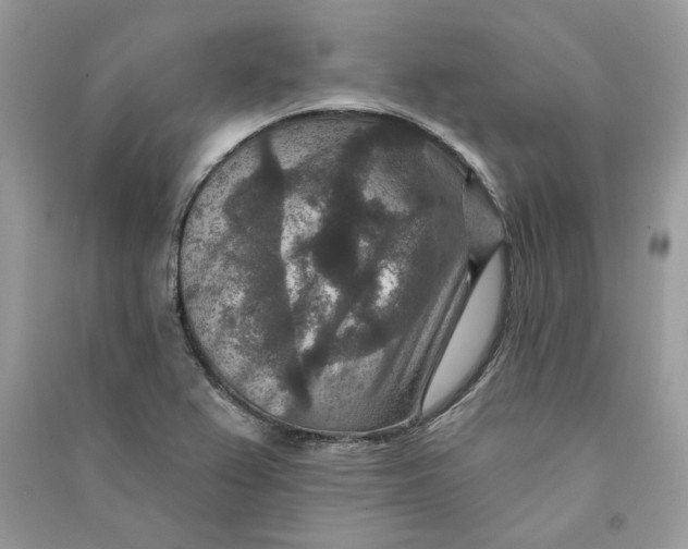 X0000090731367200708101630