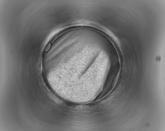 X0000090731368200708101630