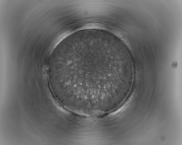 X0000090731369200708101630