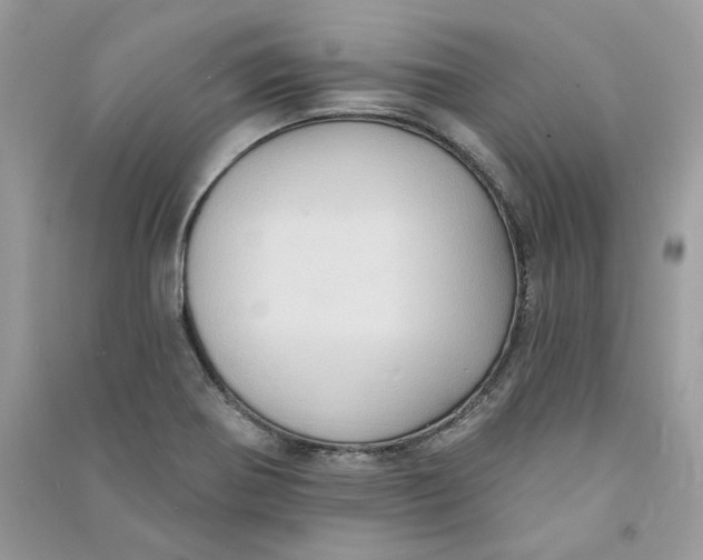 X0000090731370200708101630