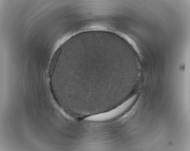 X0000090731373200708101630