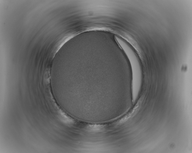 X0000090731377200708101630