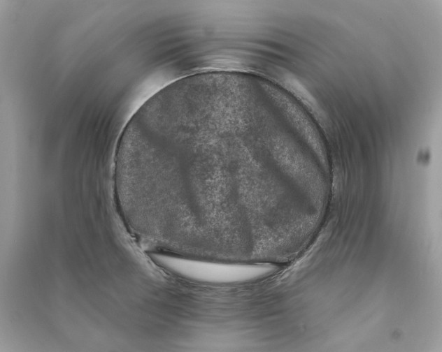 X0000090731378200708101630