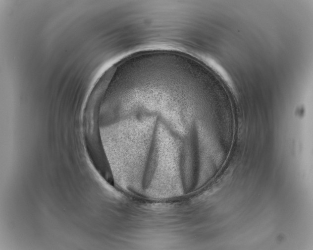 X0000090731380200708101630