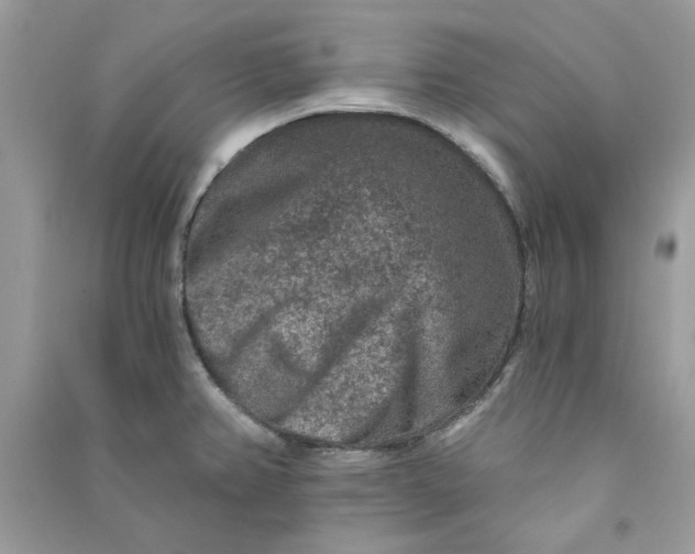 X0000090731382200708101630