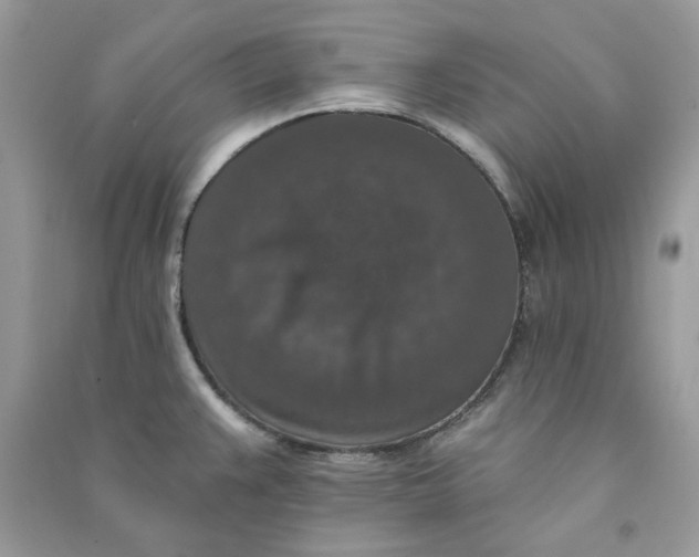 X0000090731383200708101630