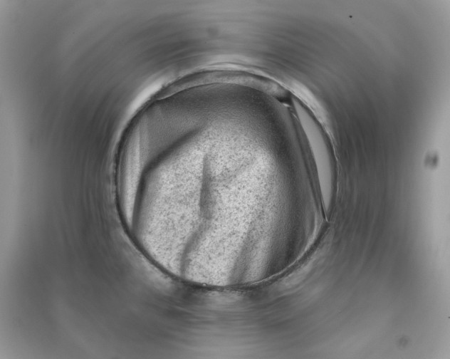 X0000090731384200708101630