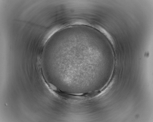 X0000090731385200708101630