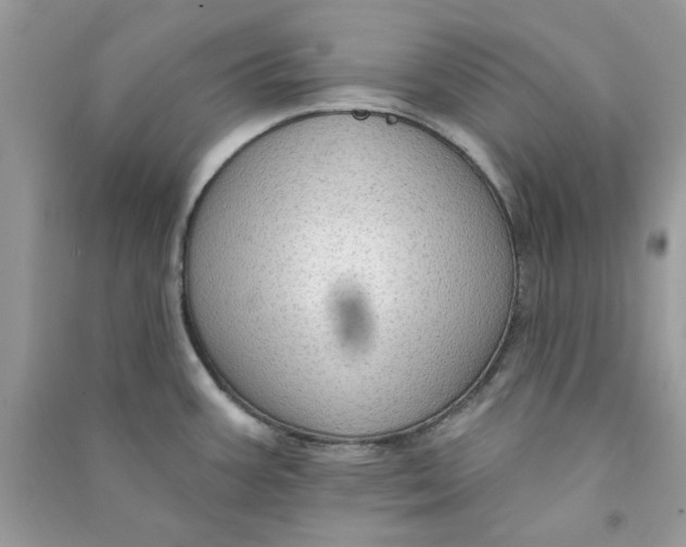 X0000090731387200708101630