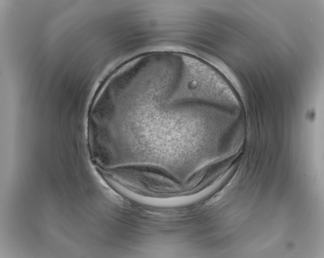 X0000090731388200708101630