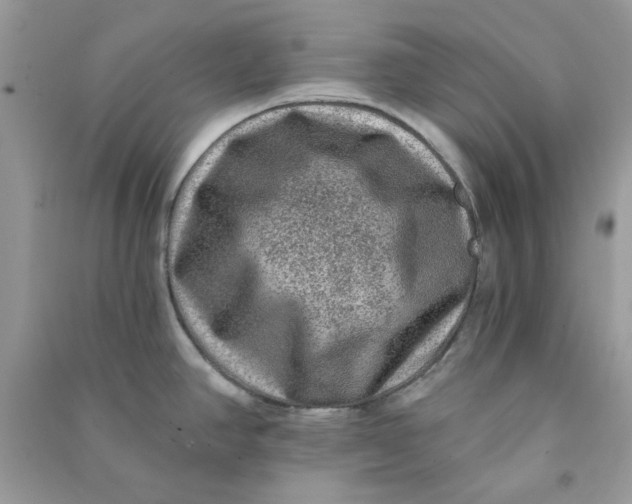 X0000090731390200708101630