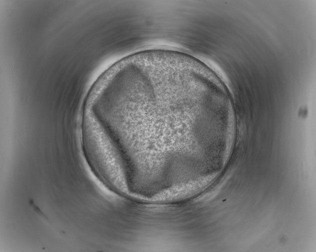 X0000090731391200708101630