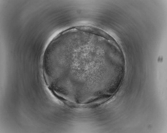 X0000090731392200708101630