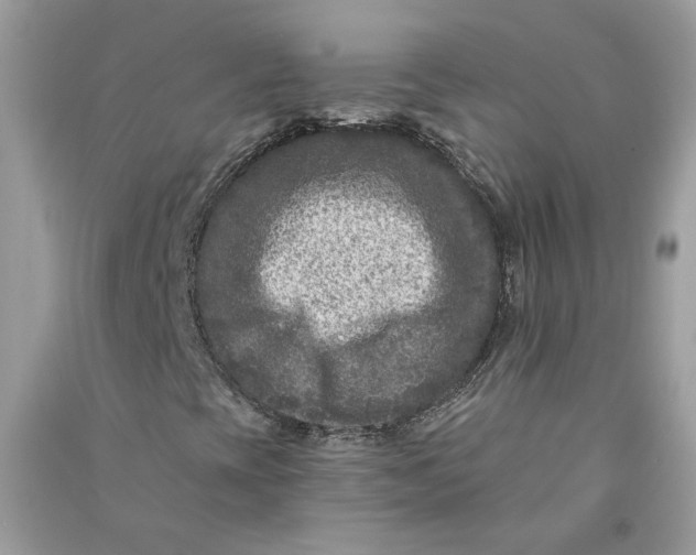 X0000090731393200708101629