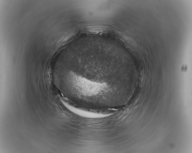 X0000090731394200708101629