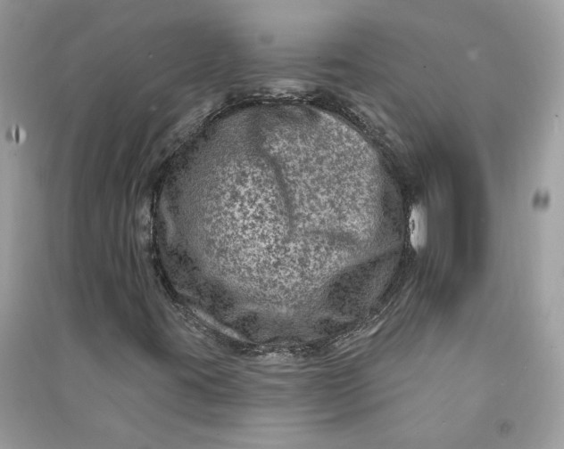 X0000090731395200708101629