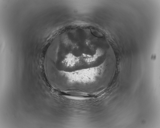 X0000090731397200708101629