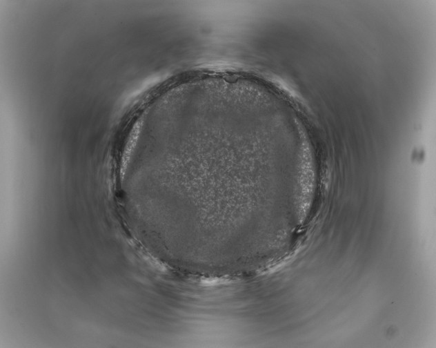 X0000090731398200708101629