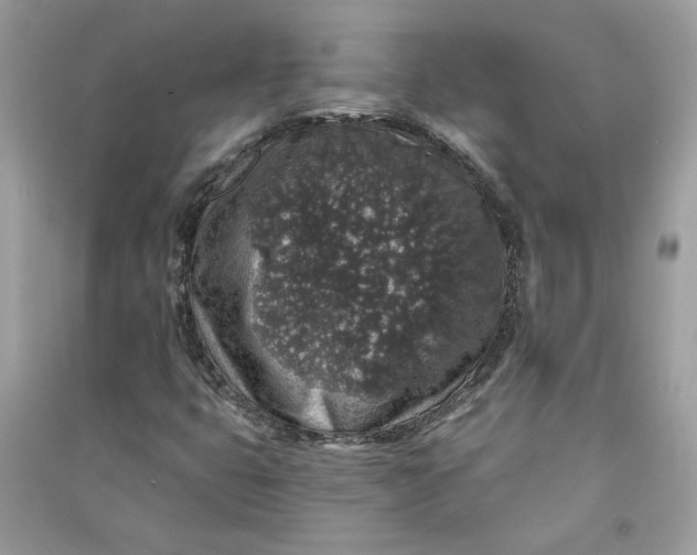 X0000090731399200708101629