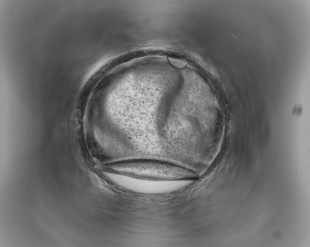 X0000090731400200708101629