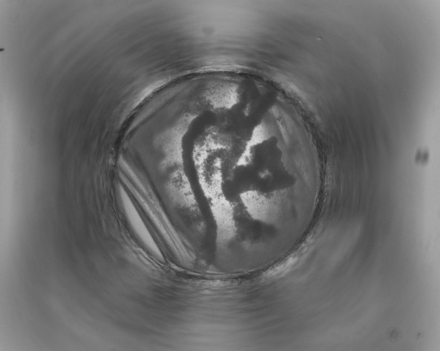 X0000090731401200708101629