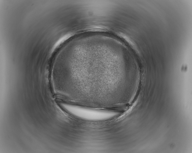 X0000090731402200708101629