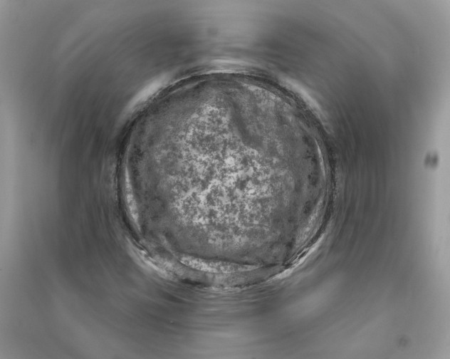 X0000090731403200708101629