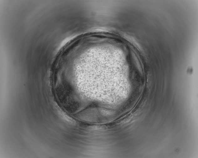 X0000090731404200708101629