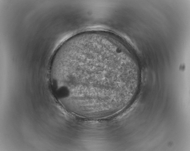 X0000090731405200708101629