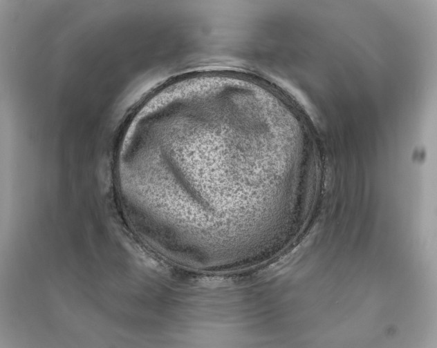 X0000090731407200708101629