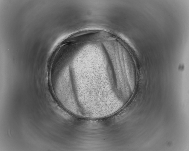 X0000090731408200708101629