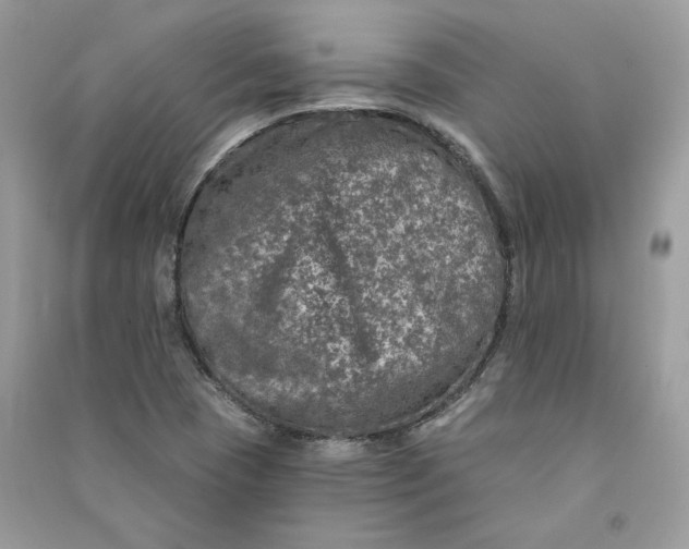 X0000090731409200708101629