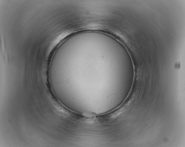 X0000090731410200708101629