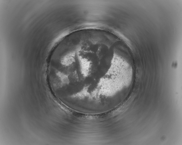 X0000090731411200708101629