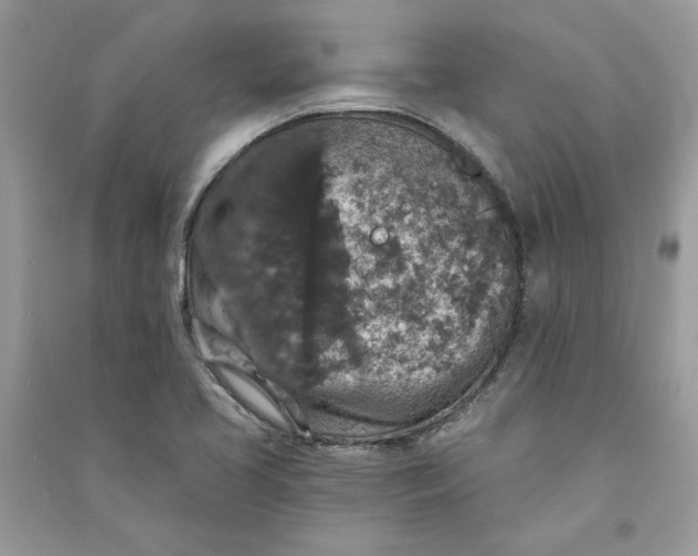 X0000090731413200708101629