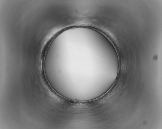 X0000090731414200708101629