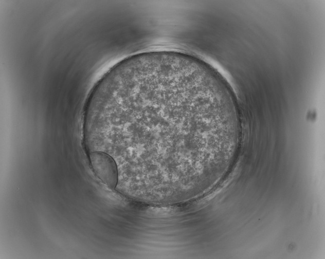 X0000090731415200708101629