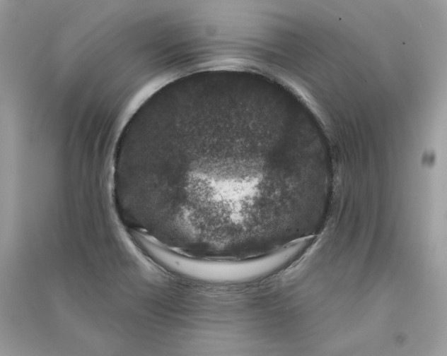 X0000090731418200708101629