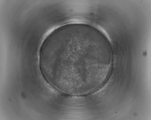 X0000090731419200708101629