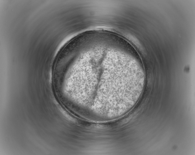 X0000090731420200708101629