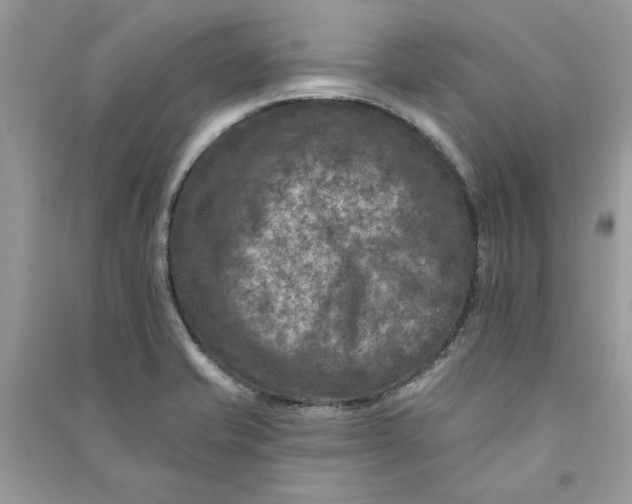 X0000090731421200708101629