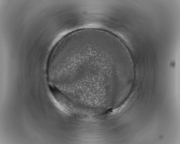 X0000090731422200708101629